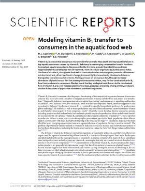 Modeling Vitamin B1 Transfer to Consumers in the Aquatic Food Web M