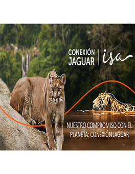 Nuestro Compromiso Con El Planeta Conexión Jaguar
