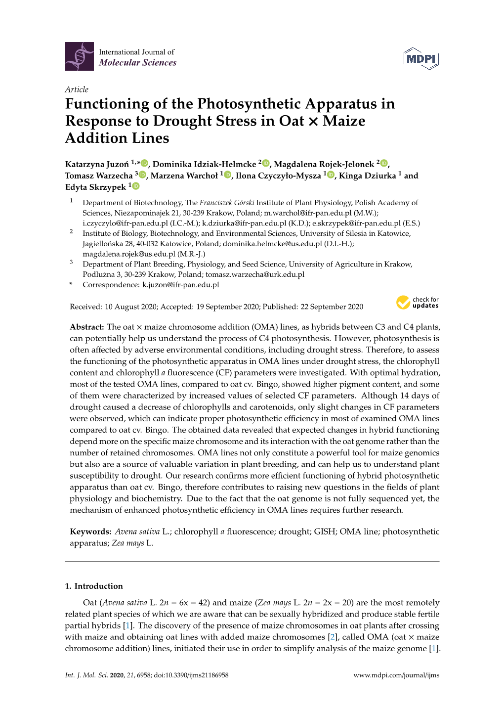 Functioning of the Photosynthetic Apparatus in Response to Drought Stress in Oat × Maize Addition Lines