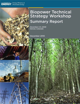 Biopower Technical Strategy Workshop Report