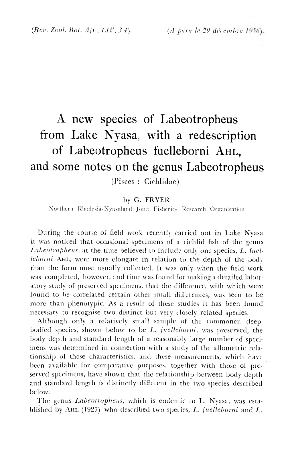 A New Species of Labeotropheus from Lake Nyasa, with a Redescription Of