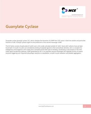 Guanylate Cyclase