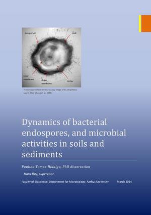 Dynamics of Bacterial Endospores, and Microbial Activities in Soils and Sediments