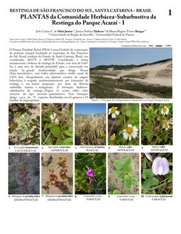 PLANTAS Da Comunidade Herbácea-Subarbustiva Da Restinga Do Parque Acaraí - I João Carlos F