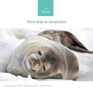 New Year in Antarctica