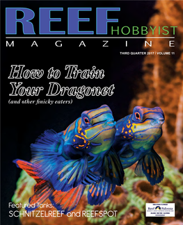 How to Train Your Dragonet (And Other Finicky Eaters)