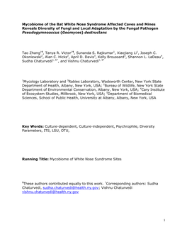 Mycobiome of the Bat White Nose Syndrome Affected Caves And