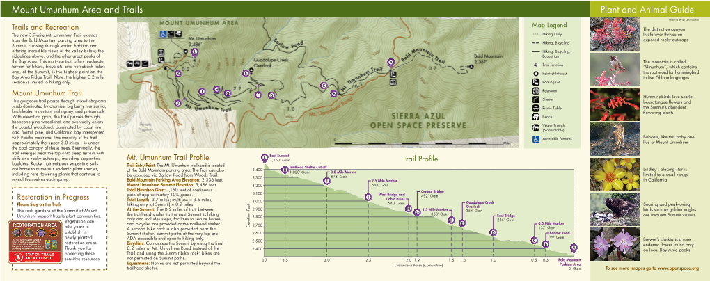 Mount Umunhum Area and Trails Plant and Animal Guide