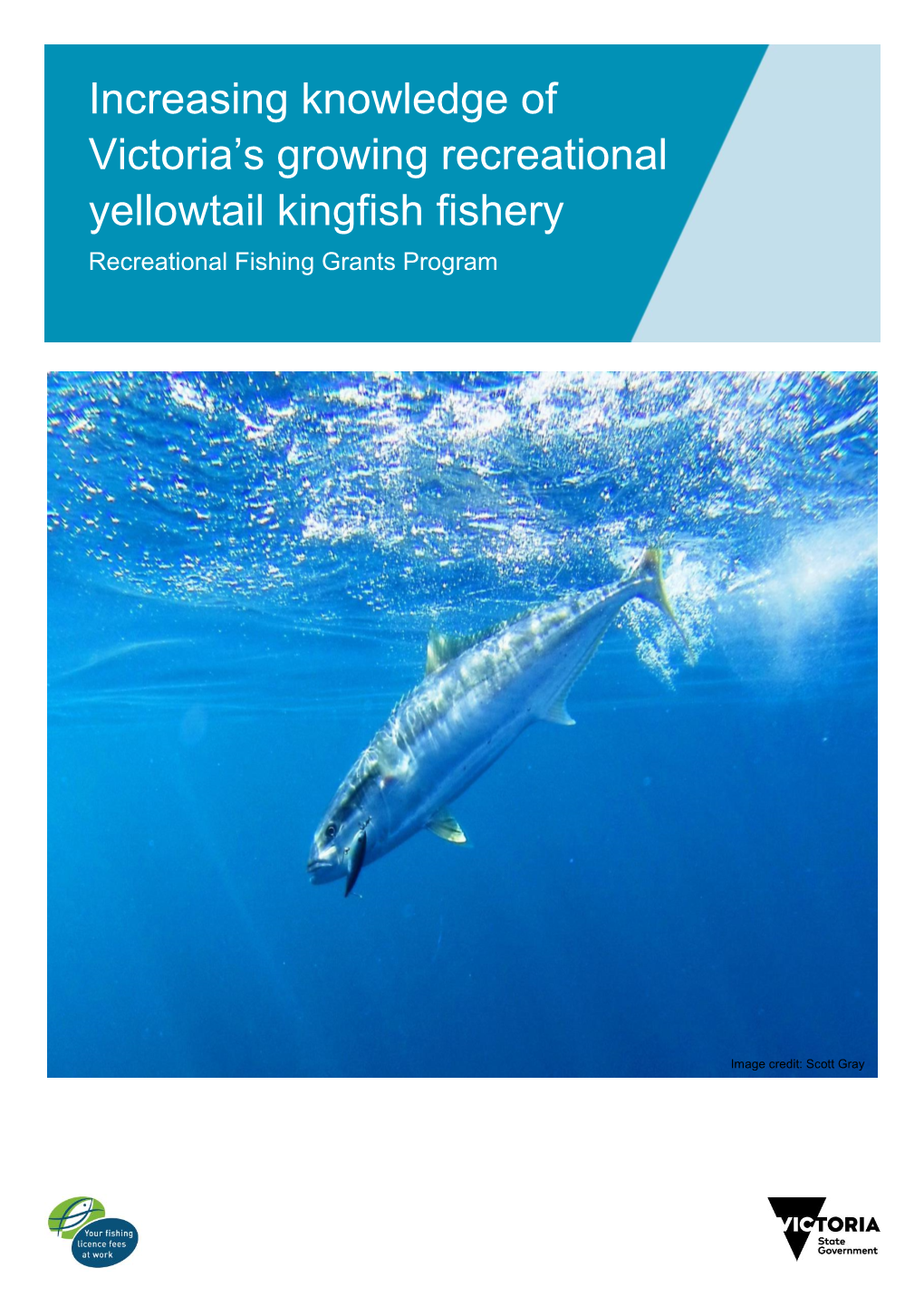 Increasing Knowledge of Victoria's Growing Recreational Yellowtail