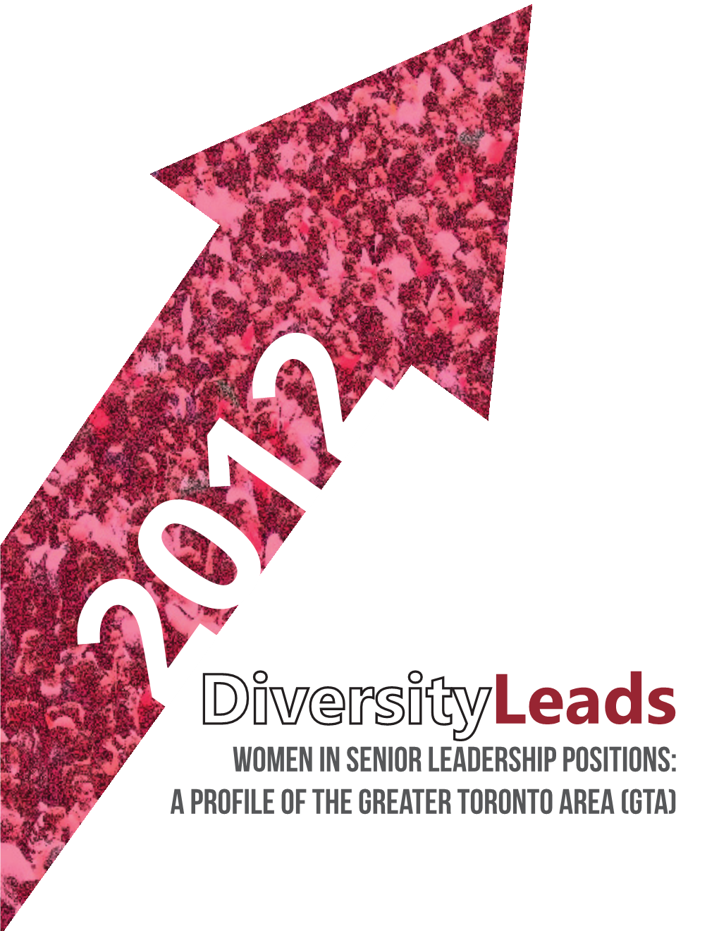 Women in Senior Leadership Positions: a Profile of the Greater