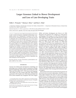 Larger Genomes Linked to Slower Development and Loss of Late-Developing Traits