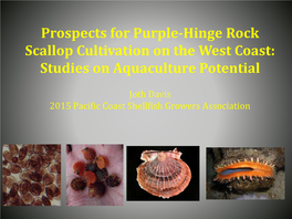 Prospects for Purple-Hinge Rock Scallop Cultivation on the West Coast: Studies on Aquaculture Potential