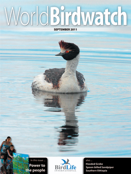 Hooded Grebes Were Thought to Journey