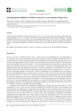 The Phylogenetic Affinities of Pellaea Connectens, a Rare Endemic Chinese Fern