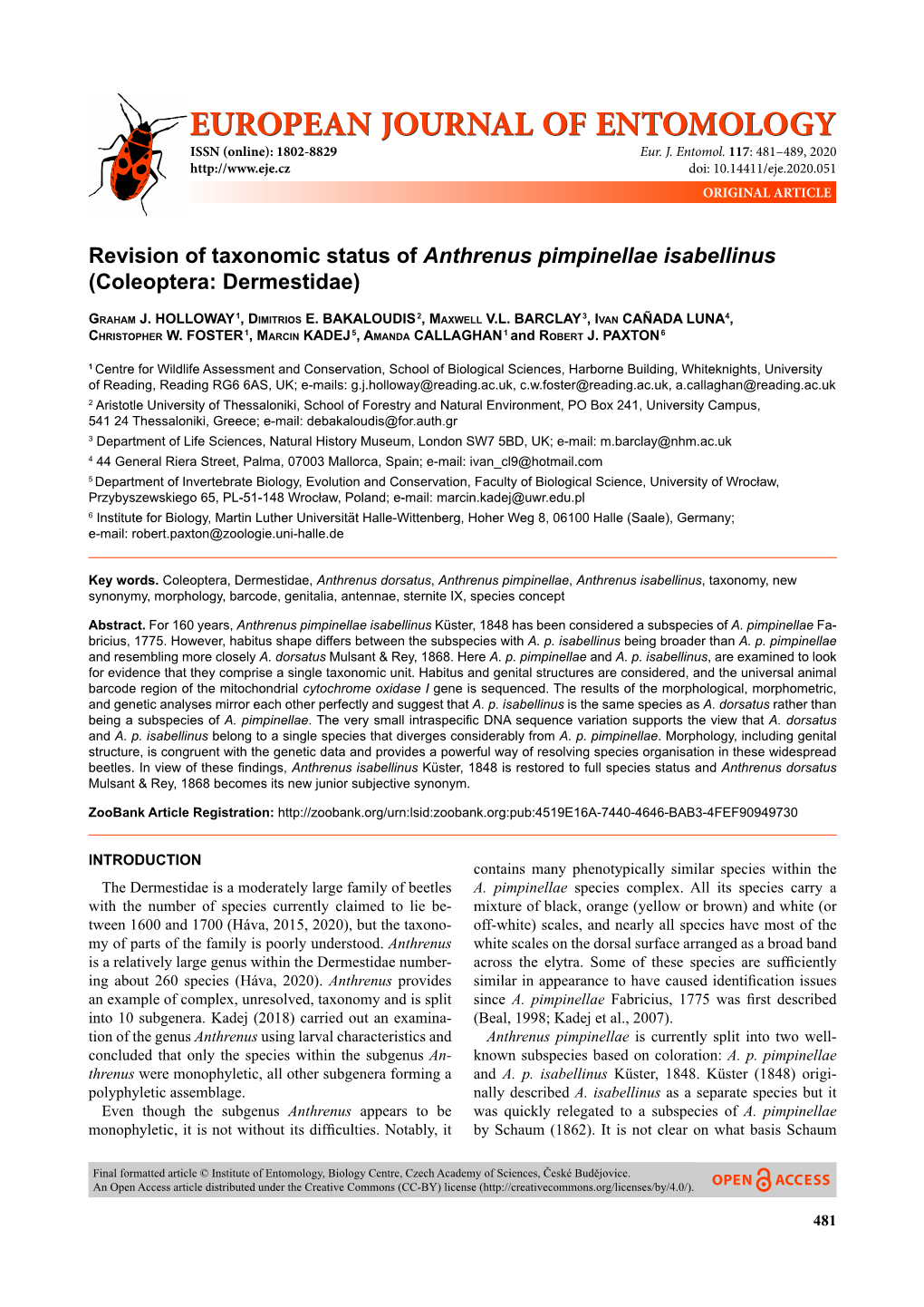 Revision of Taxonomic Status of Anthrenus Pimpinellae Isabellinus (Coleoptera: Dermestidae)