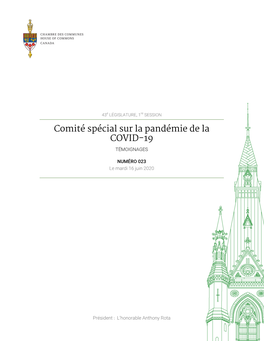 Comité Spécial Sur La Pandémie De La COVID-19 TÉMOIGNAGES
