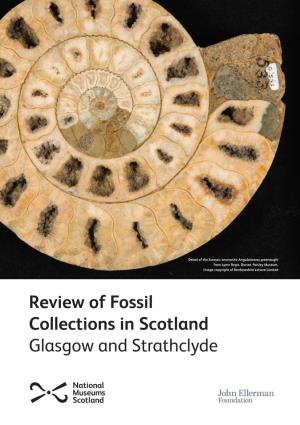 Review of Fossil Collections in Scotland Glasgow and Strathclyde Glasgow and Strathclyde