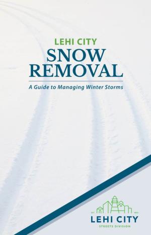 Snow Removal Brochure