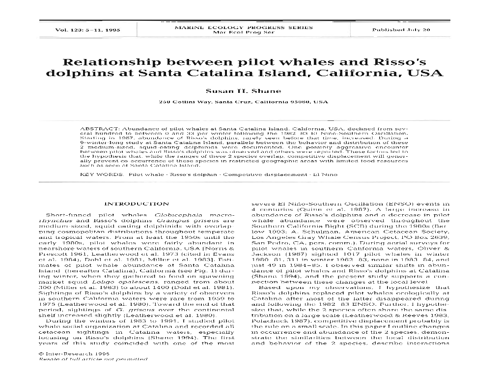 Relationship Between Pilot Whales and Risso's Dolphins at Santa Catalina Island, California, USA