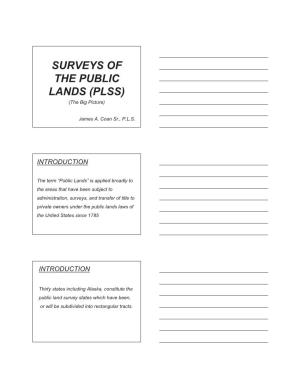 SURVEYS of the PUBLIC LANDS (PLSS) (The Big Picture)