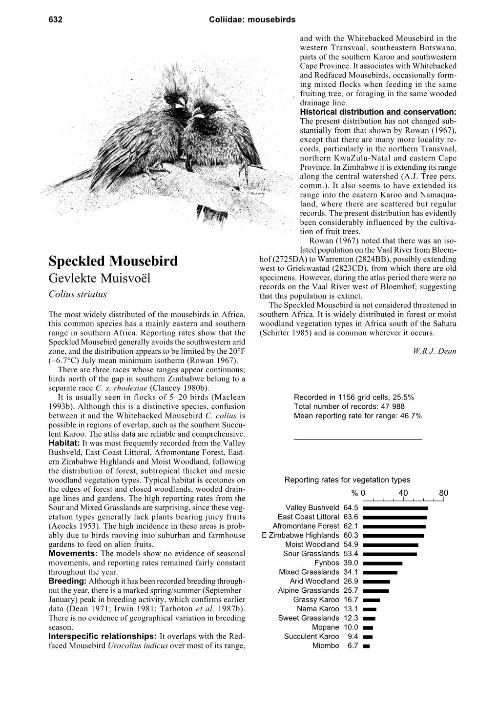 Speckled Mousebird West to Griekwastad (2823CD), from Which There Are Old Gevlekte Muisvoël Specimens