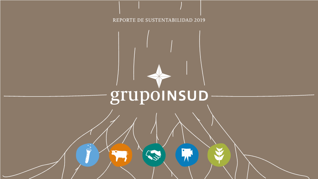 Reporte De Sustentabilidad 2019 Grupo Insud 1