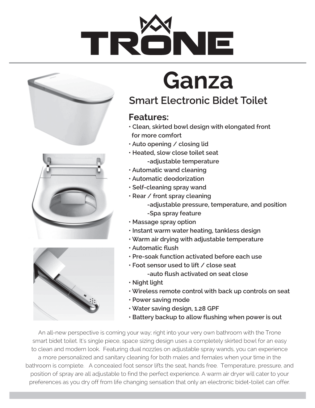 Smart Electronic Bidet Toilet
