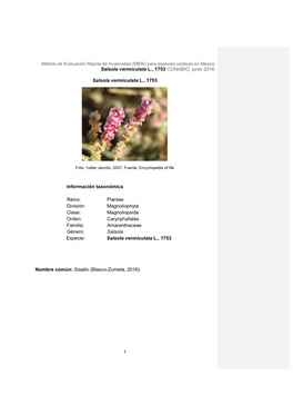 Salsola Vermiculata L., 1753 CONABIO, Junio 2016