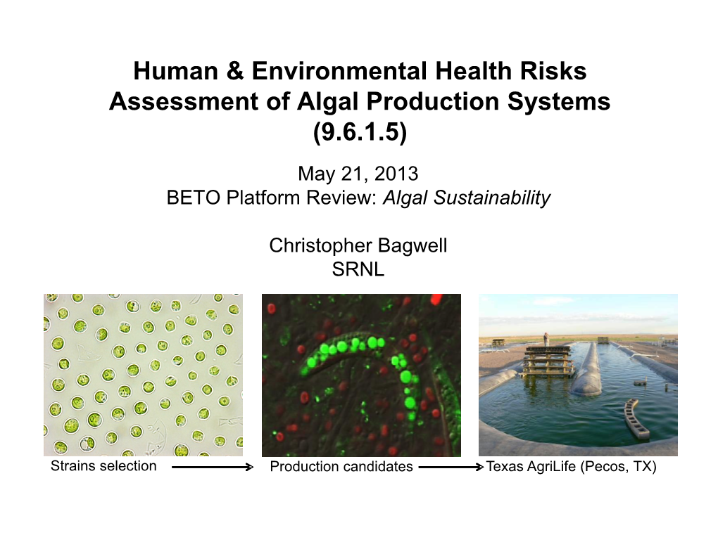 Human & Environmental Health Risks Assessment of Algal Production Systems (9.6.1.5)