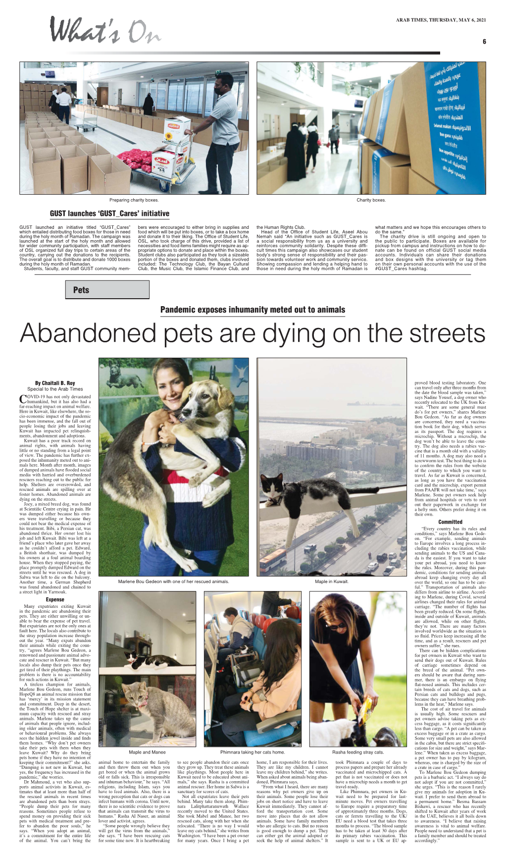 Abandoned Pets Are Dying on the Streets