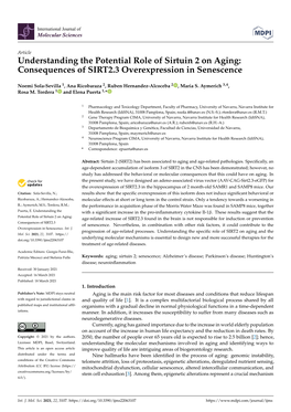 Understanding the Potential Role of Sirtuin 2 on Aging: Consequences of SIRT2.3 Overexpression in Senescence