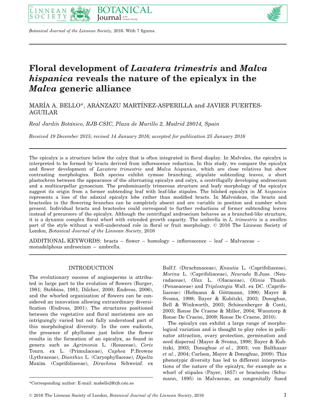 Floral Development of Lavatera Trimestris and Malva Hispanica Reveals the Nature of the Epicalyx in the Malva Generic Alliance