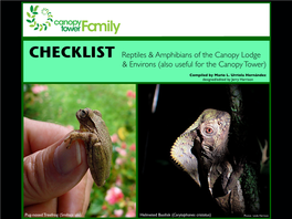 CHECKLIST Reptiles & Amphibians of the Canopy Lodge & Environs