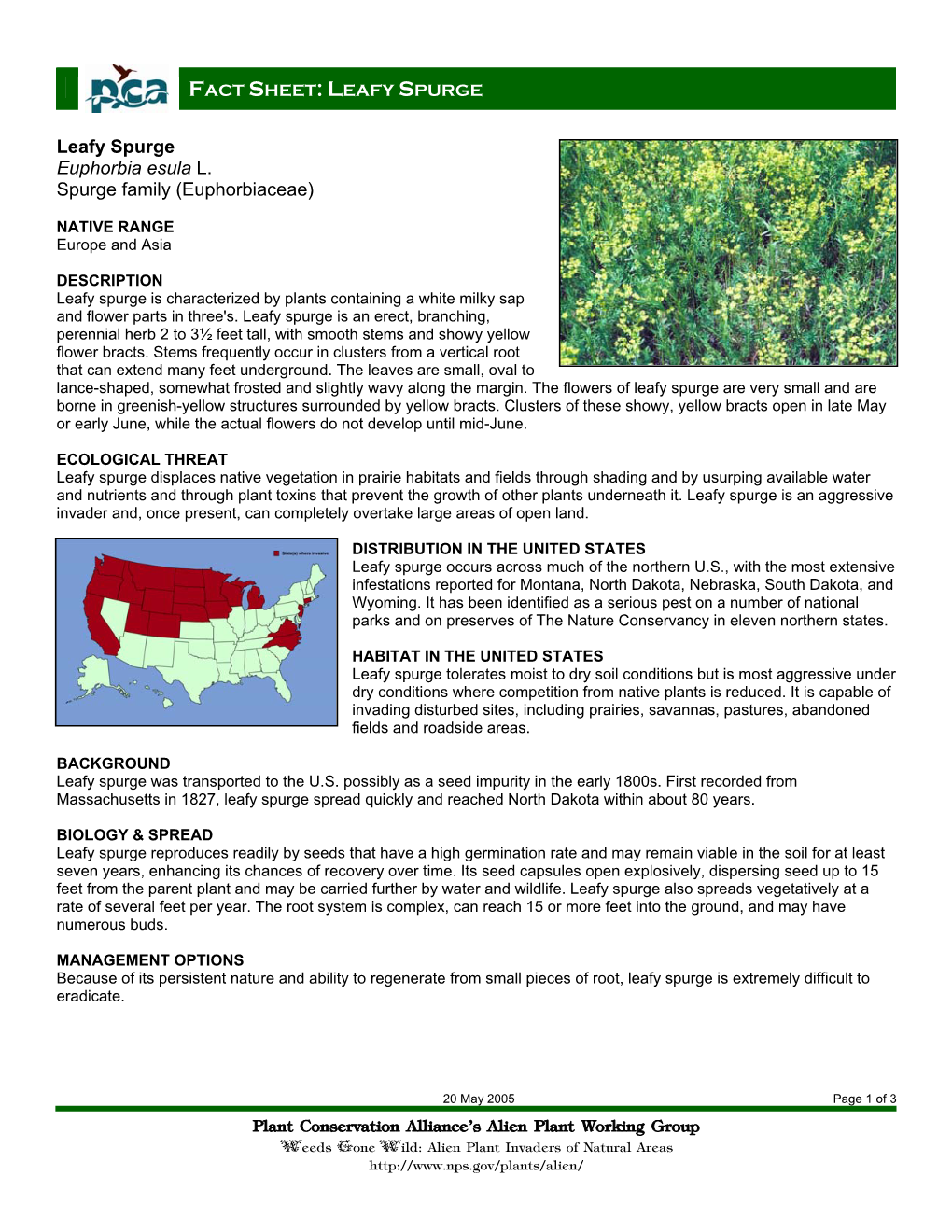 Plant Conservation Alliance®S Alien Plant Working Group Leafy Spurge