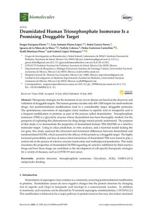 Deamidated Human Triosephosphate Isomerase Is a Promising Druggable Target