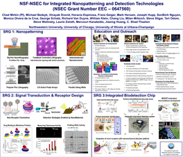 NSEC for Integrated Nanopatterning and Detection Technologies EEC