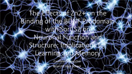 The Effects of P75 and Sorcs2 on Neuronal Function and Structure
