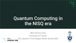 Quantum Computing in the NISQ Era