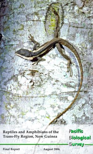 Reptiles and Amphibians of the Trans-Fly Region, New Guinea