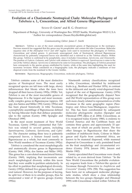 Evolution of a Charismatic Neotropical Clade: Molecular Phylogeny of Tabebuia S