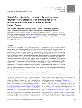 Establishment and Early Impact of Spathius Galinae (Hymenoptera: Braconidae) on Emerald Ash Borer (Coleoptera: Buprestidae) in the Northeastern United States