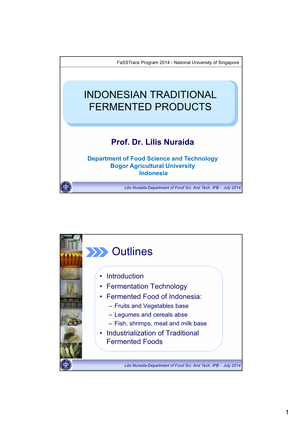Indonesian Traditional Fermented Products