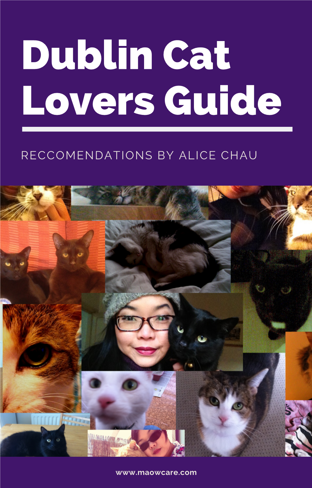 Dublin Cat Lovers Guide