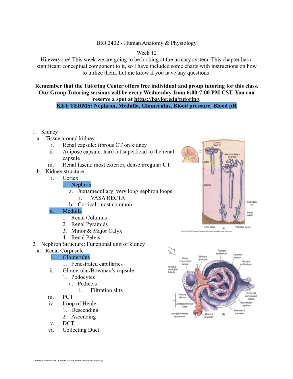 BIO 2402 MT Resource 12