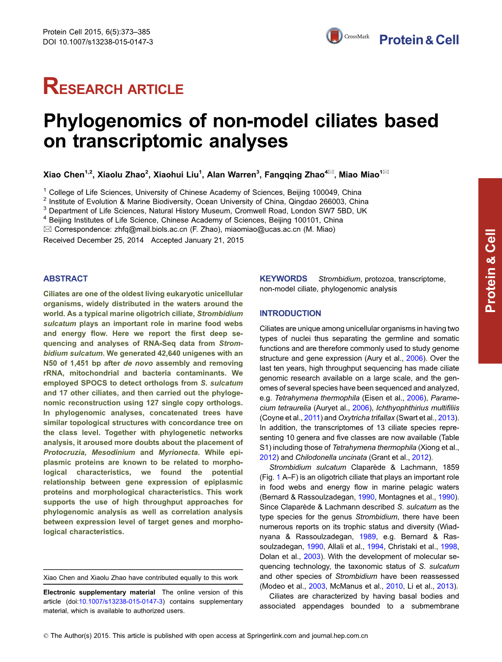 Phylogenomics of Non-Model Ciliates Based on Transcriptomic Analyses