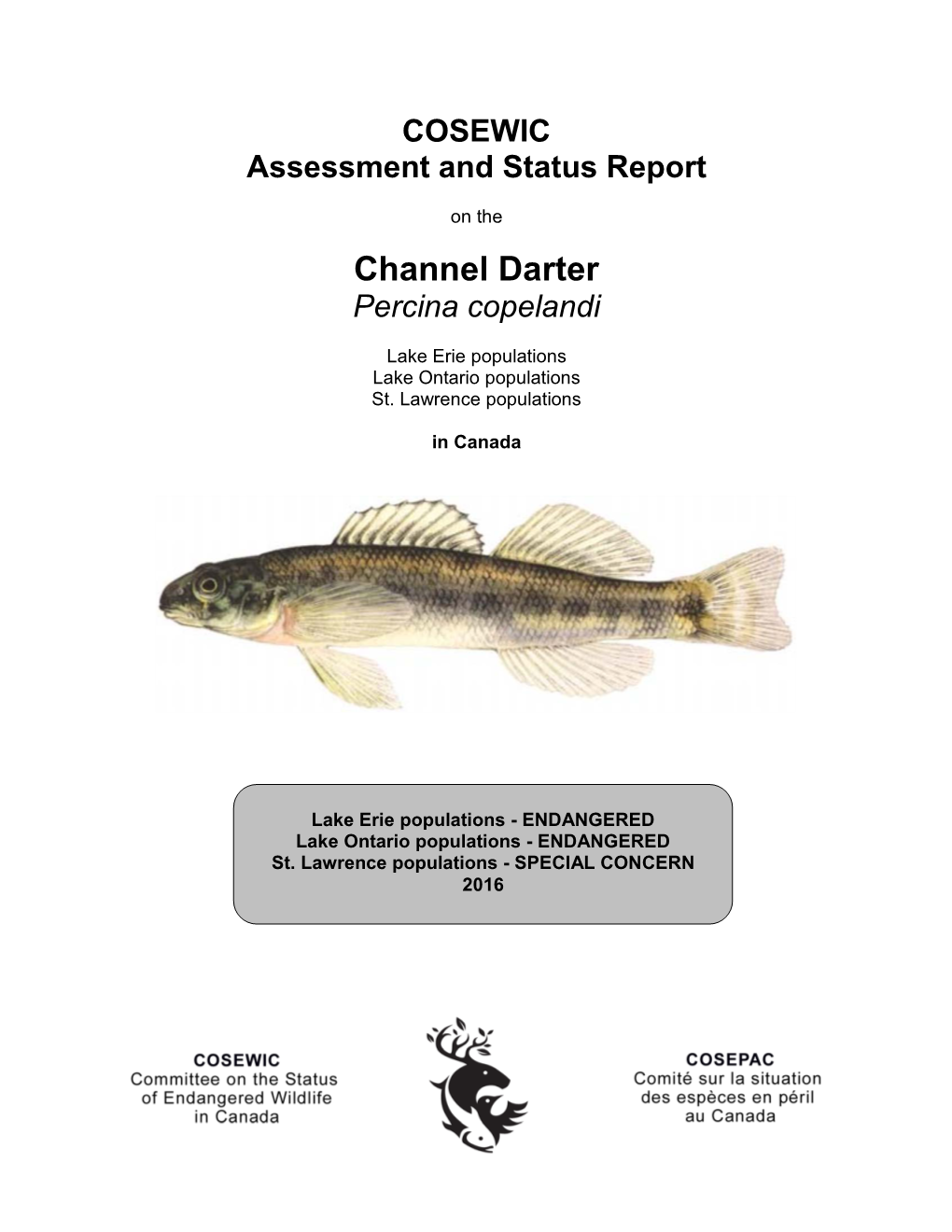 Channel Darter, Percina Copelandi, in Canada, Prepared Under Contract with Environment and Climate Change Canada