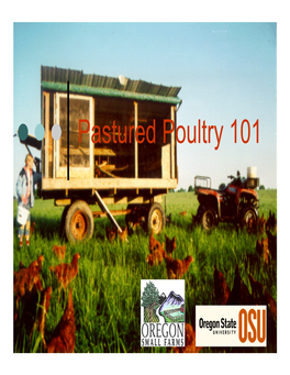 Pastured Poultry 101 Topics for Discussion