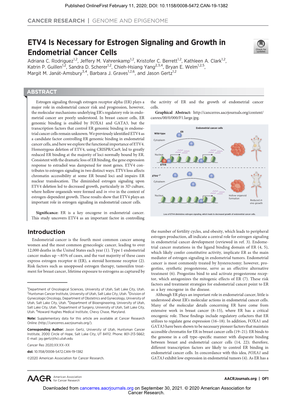 ETV4 Is Necessary for Estrogen Signaling and Growth in Endometrial Cancer Cells Adriana C