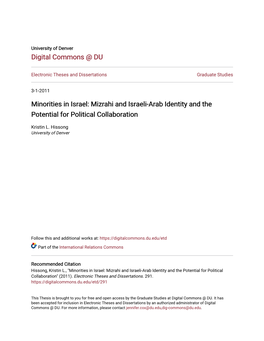Minorities in Israel: Mizrahi and Israeli-Arab Identity and the Potential for Political Collaboration