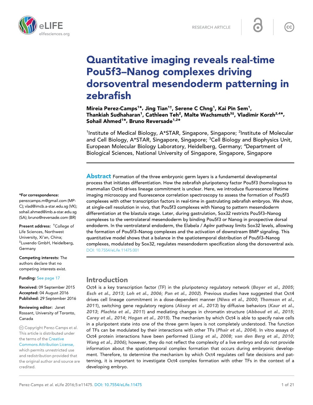 Quantitative Imaging Reveals Real-Time Pou5f3–Nanog Complexes Driving